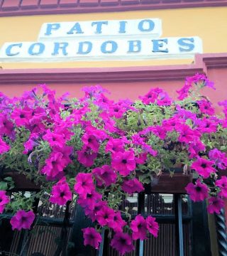 Flores fachada Restaurante Sociedad Plateros Maria Auxiliadora
