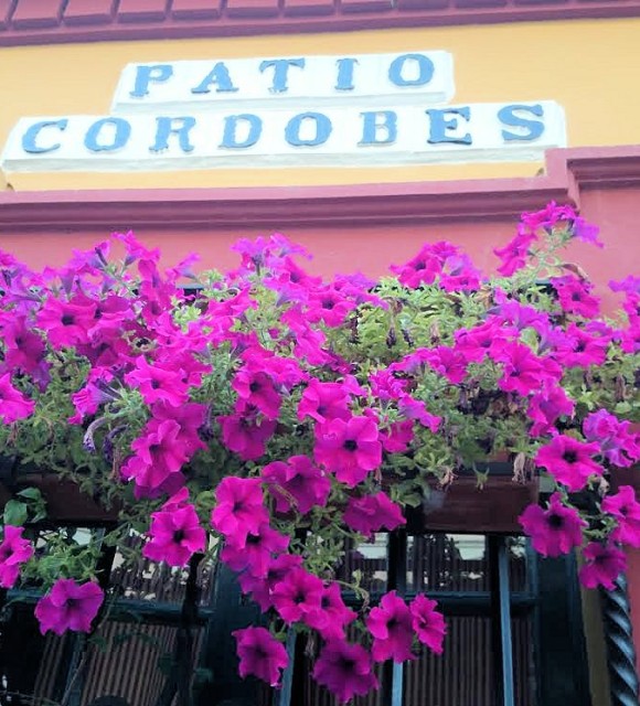 Flores fachada Restaurante Sociedad Plateros Maria Auxiliadora