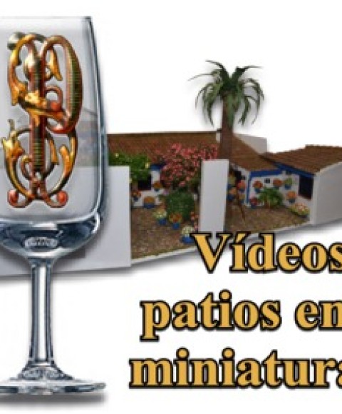 Vídeos Patios Cordobeses en Miniatura en el Restaurante en Córdoba Sociedad Plateros María Auxiliadora